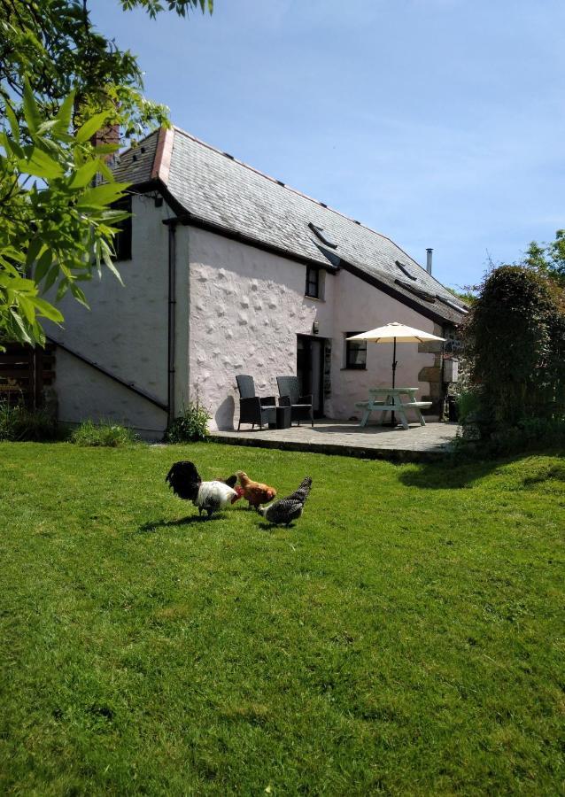 Farm Accommodation - The Lizard Peninsula, Cornwall Helston Exterior photo