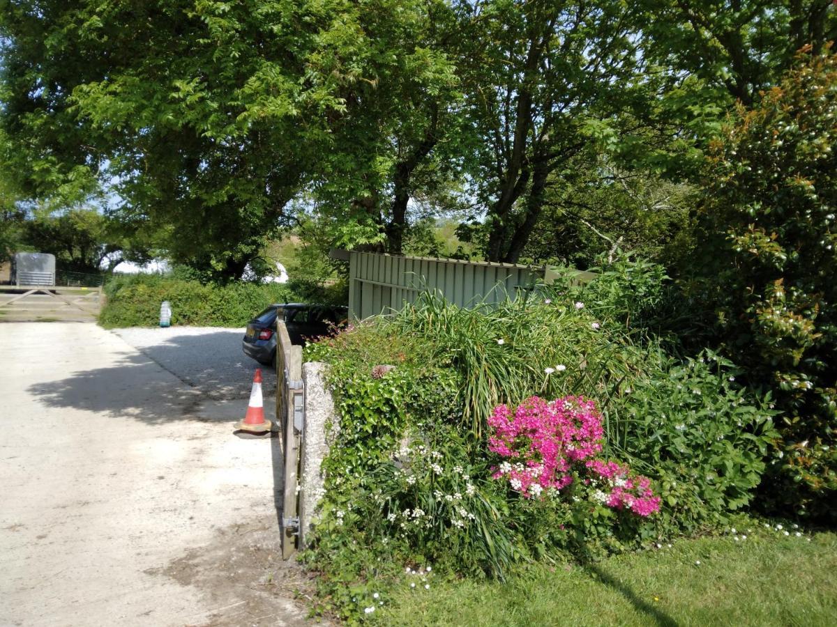 Farm Accommodation - The Lizard Peninsula, Cornwall Helston Exterior photo